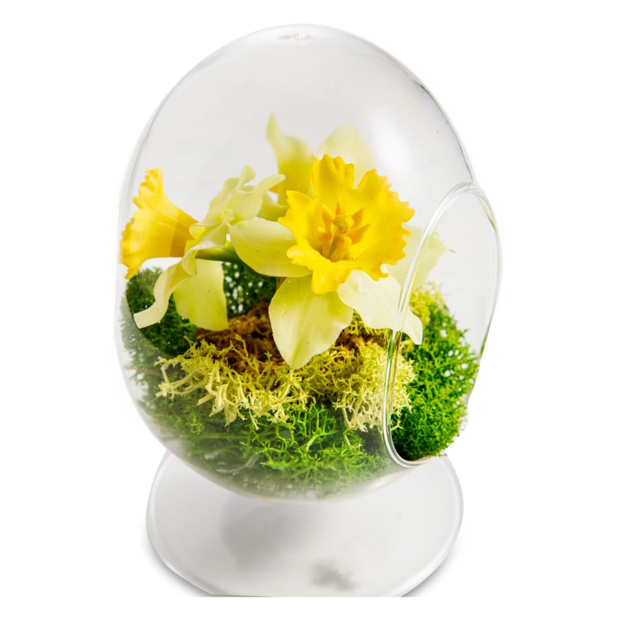 Нарциссы из холодного фарфора в стеклянном флорариуме