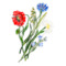 Брошь Русские самоцветы Канареечник тростниковидный 17,04 г, серебро 925