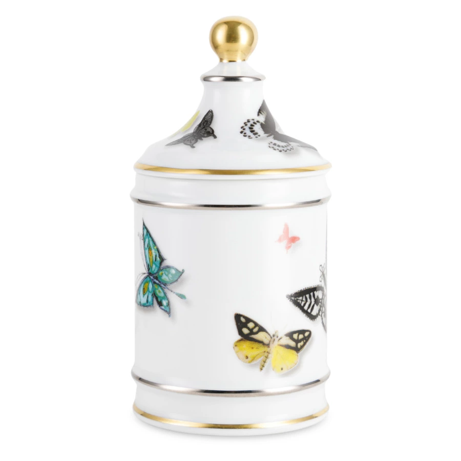 Сервиз чайный Vista Alegre Бабочки на 6 персон 21 предмет, фарфор