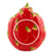 Тарелка сервировочная Bordallo Pinheiro Тропические фрукты Питайя 25х20 см, керамика
