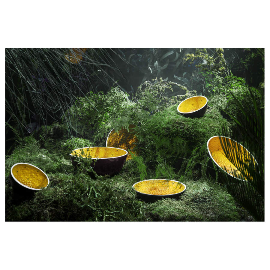 Салатник Bordallo Pinheiro Тропические фрукты Маракуйя 24,5 см, керамика