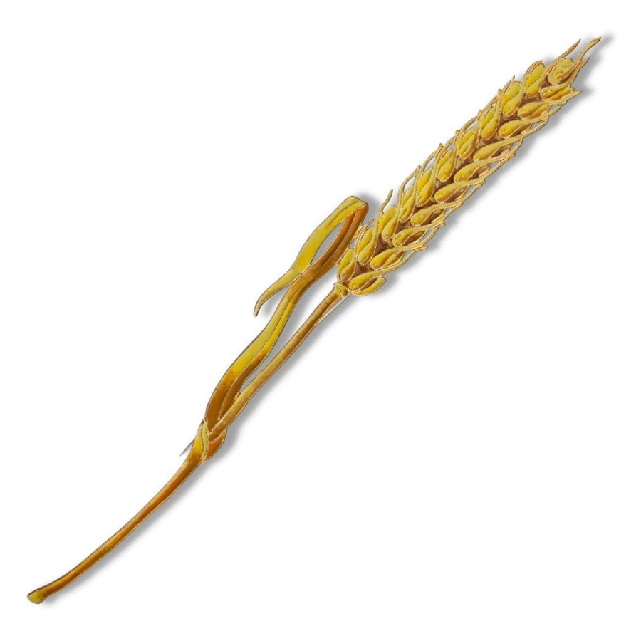 Брошь Русские самоцветы Пшеница 15,83 г, серебро 925