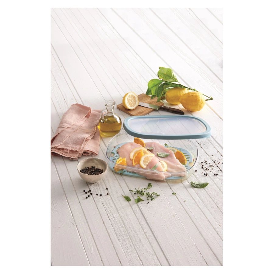 Контейнер для хранения мяса и рыбы SNIPS 1,5 л, 28,5x20,5x4,5 см, пластик