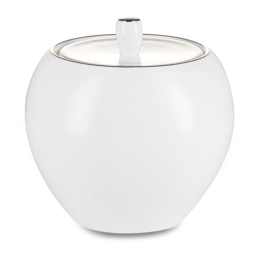 Сервиз чайный Narumi Сверкающая Платина на 6 персон 21 предмет, фарфор костяной