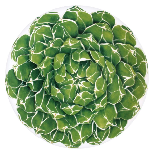 Блюдо сервировочное Taitu Кактусы 31 см, фарфор костяной