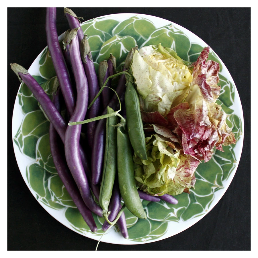 Блюдо сервировочное Taitu Кактусы 31 см, фарфор костяной