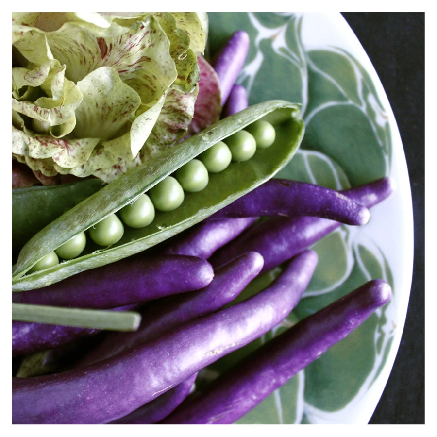 Блюдо сервировочное Taitu Кактусы 31 см, фарфор костяной