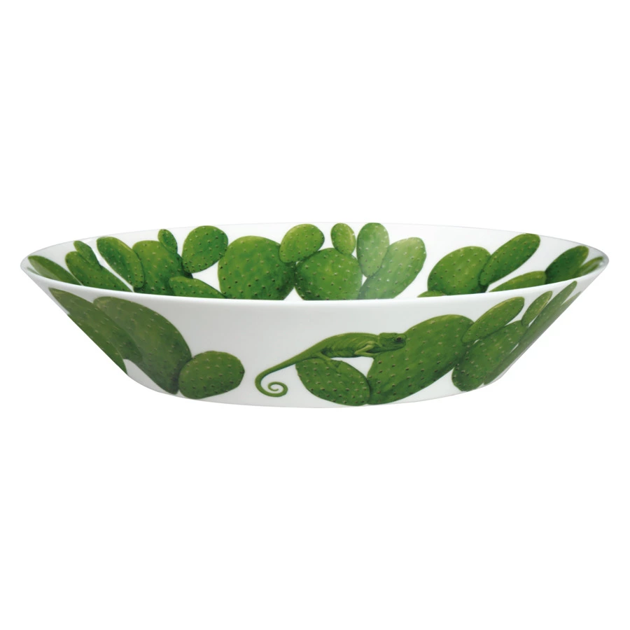 Салатник Taitu Кактусы 21,5 см, фарфор костяной
