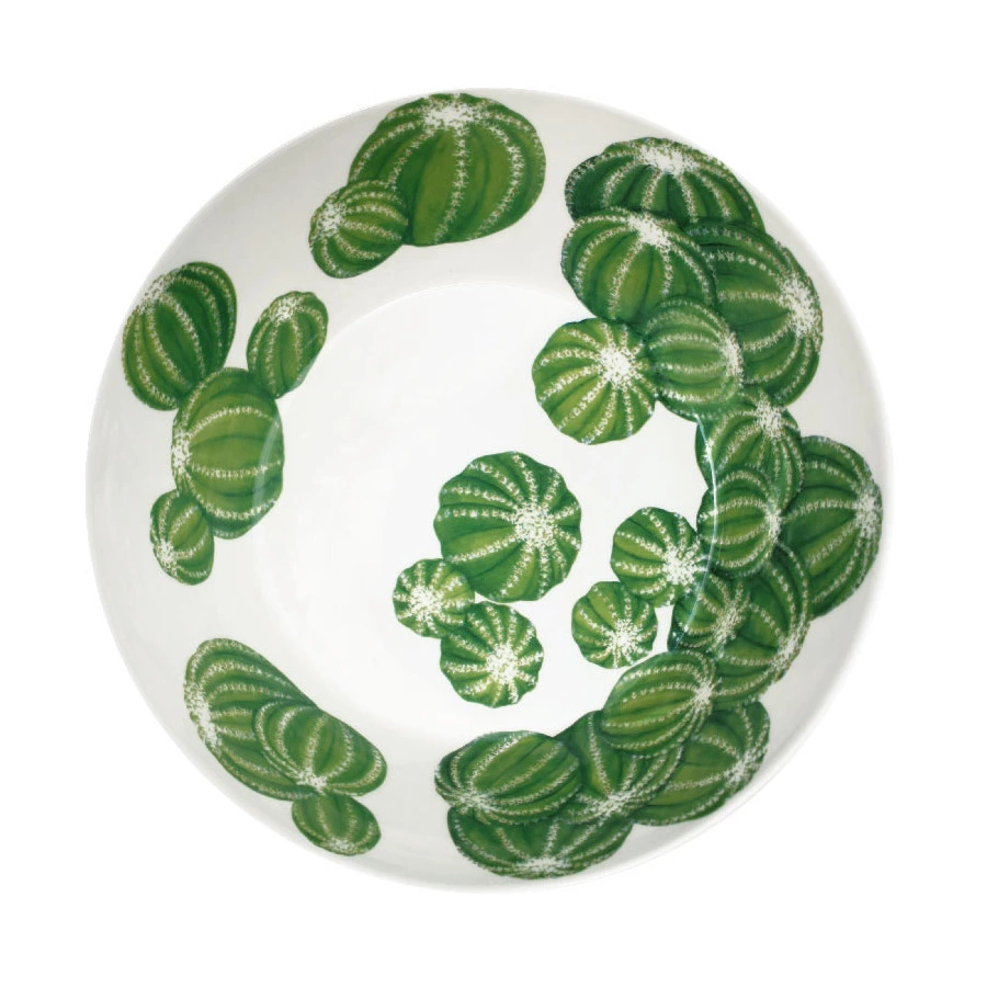 Салатник Taitu Кактусы 21,5 см, фарфор костяной