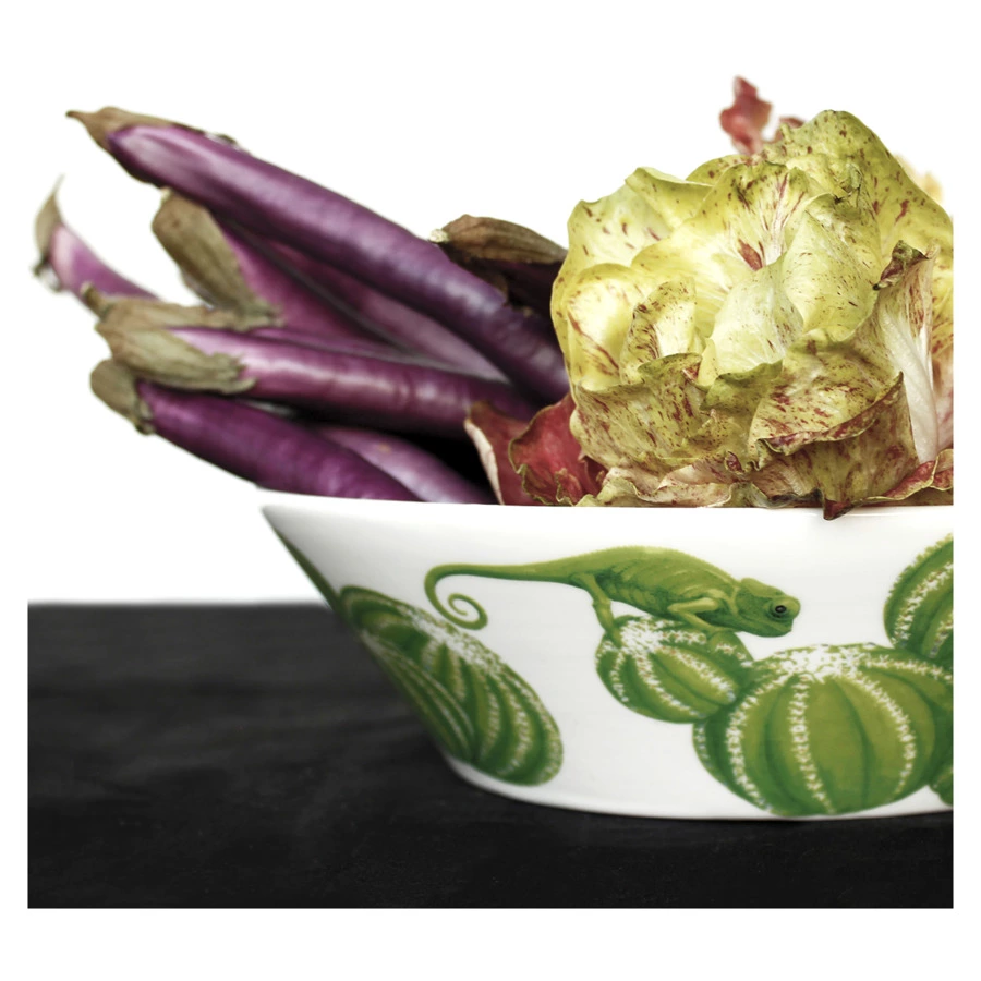 Салатник Taitu Кактусы 21,5 см, фарфор костяной