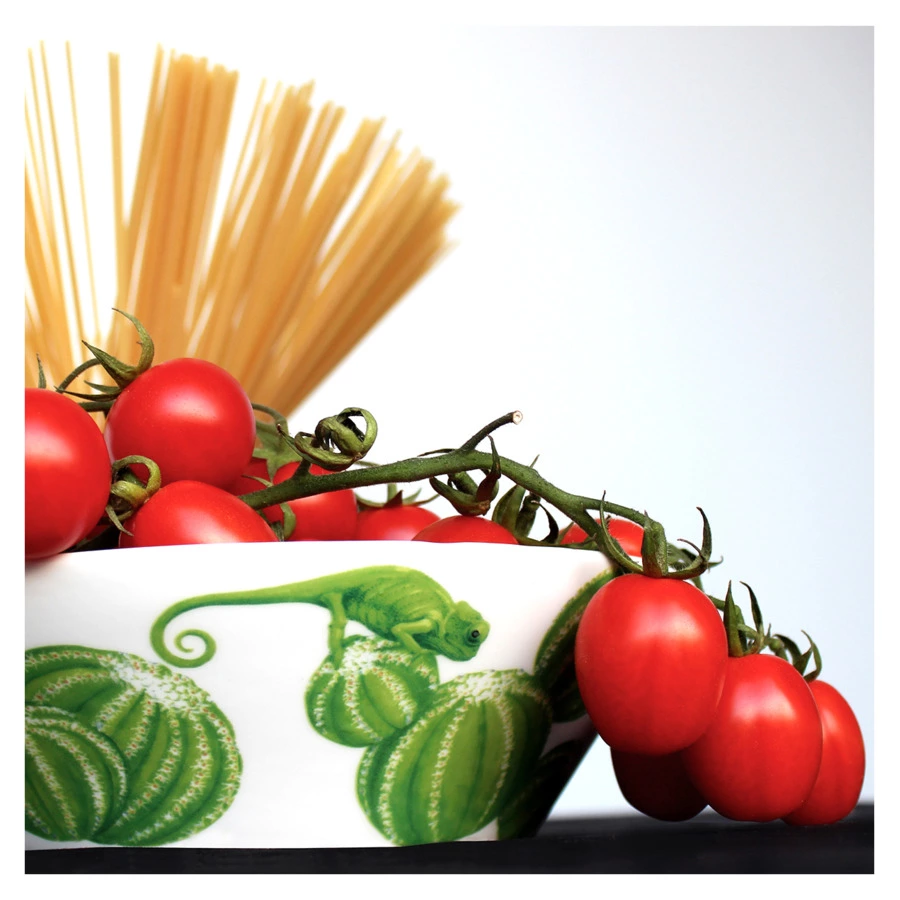 Салатник Taitu Кактусы 21,5 см, фарфор костяной