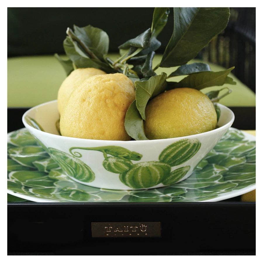 Салатник Taitu Кактусы 21,5 см, фарфор костяной