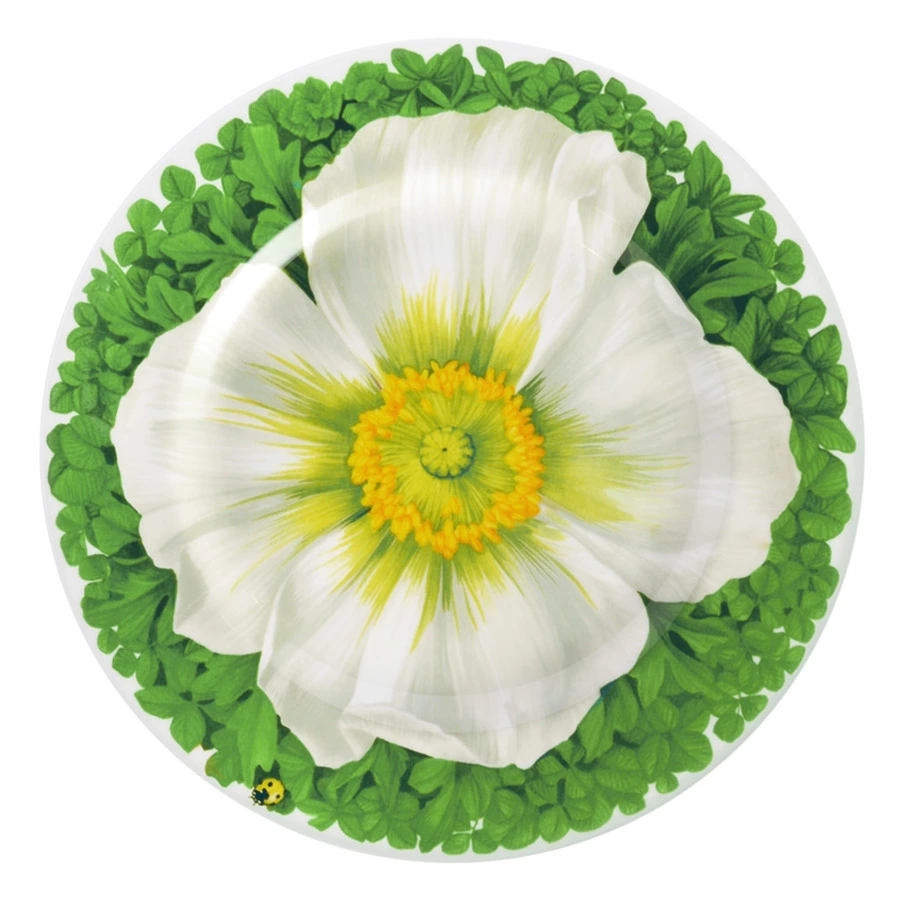 Тарелка закусочная Taitu Итальянские луга Макросъемка 21,5 см, фарфор костяной, белый