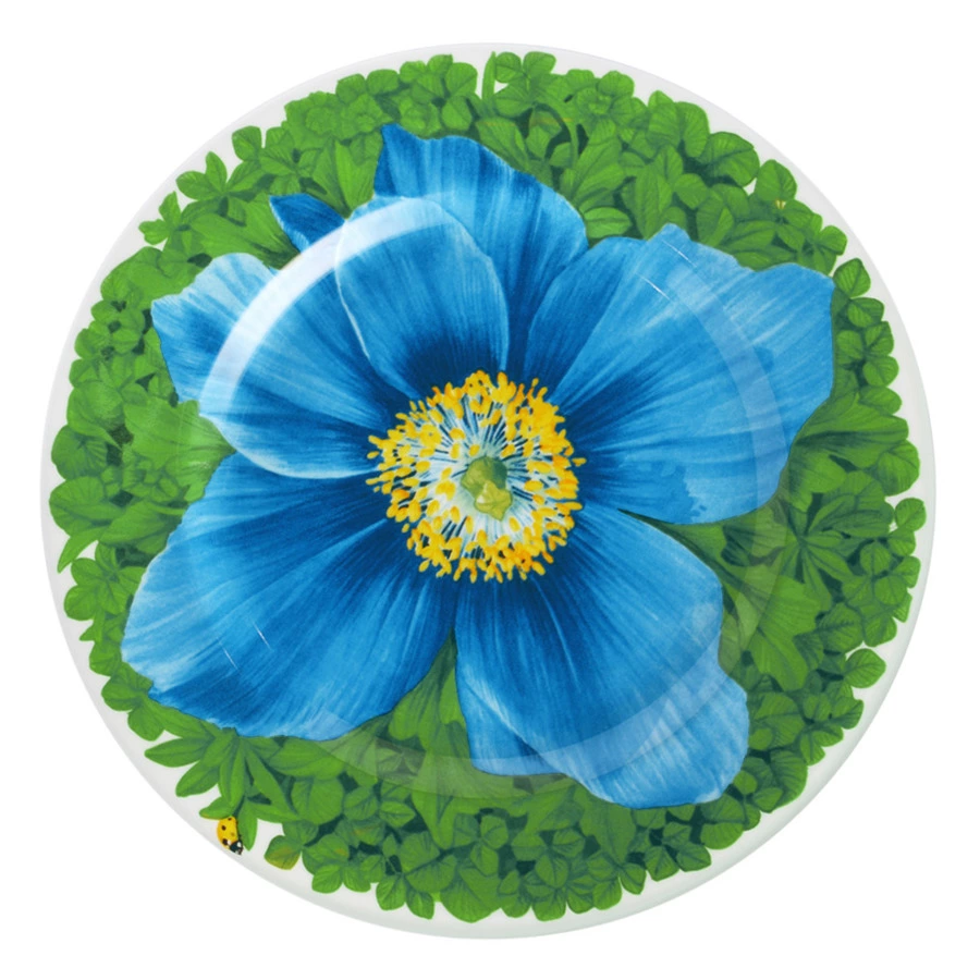 Тарелка закусочная Taitu Итальянские луга Макросъемка 21,5 см, фарфор костяной, голубой