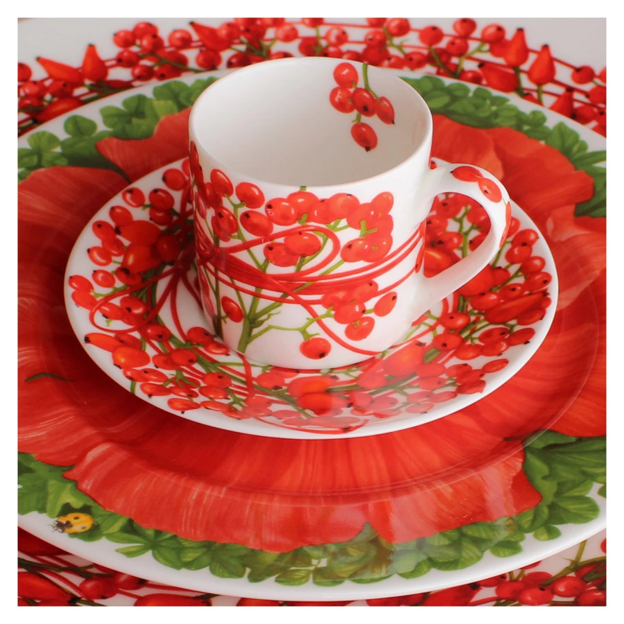 Тарелка закусочная Taitu Итальянские луга Макросъемка 21,5 см, фарфор костяной, красный