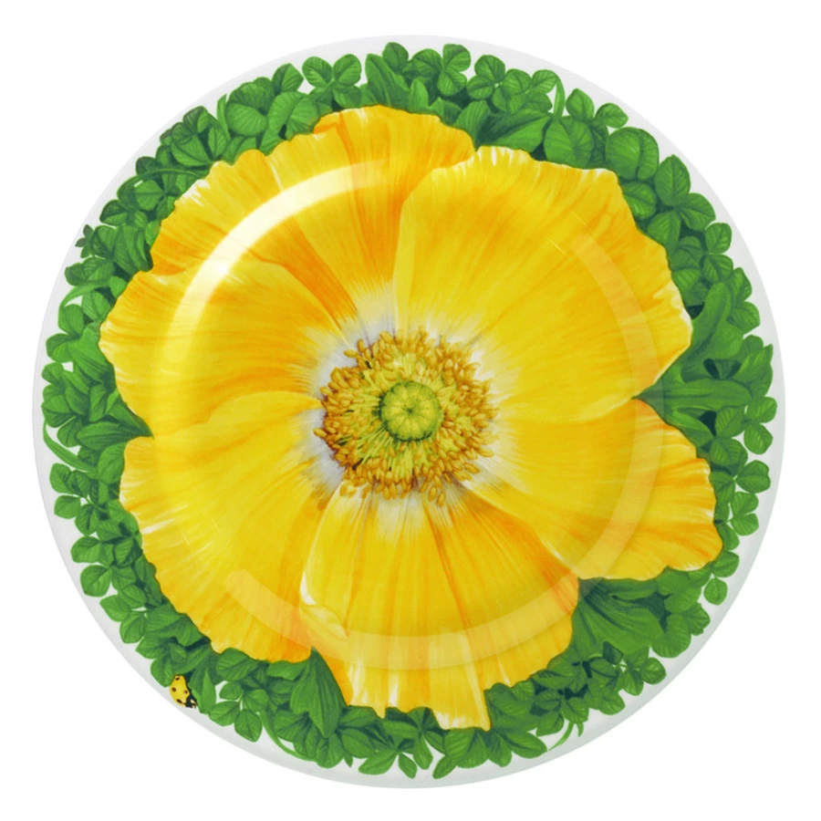 Тарелка закусочная Taitu Итальянские луга Макросъемка 21,5 см, фарфор костяной, желтый