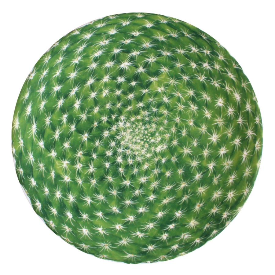 Тарелка закусочная Taitu Кактусы 23 см, фарфор костяной