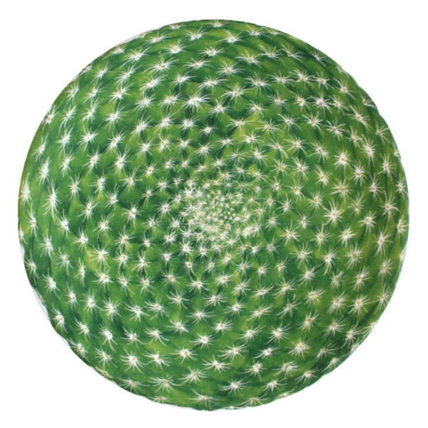 Тарелка закусочная Taitu Кактусы 23 см, фарфор костяной