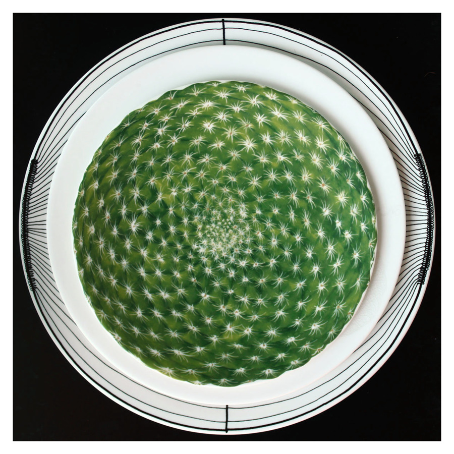 Тарелка закусочная Taitu Кактусы 23 см, фарфор костяной