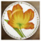 Тарелка обеденная Taitu Свобода Цветок 27 см, фарфор костяной, оранжевый