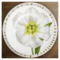 Тарелка обеденная Taitu Свобода Цветок 27 см, фарфор костяной, белый