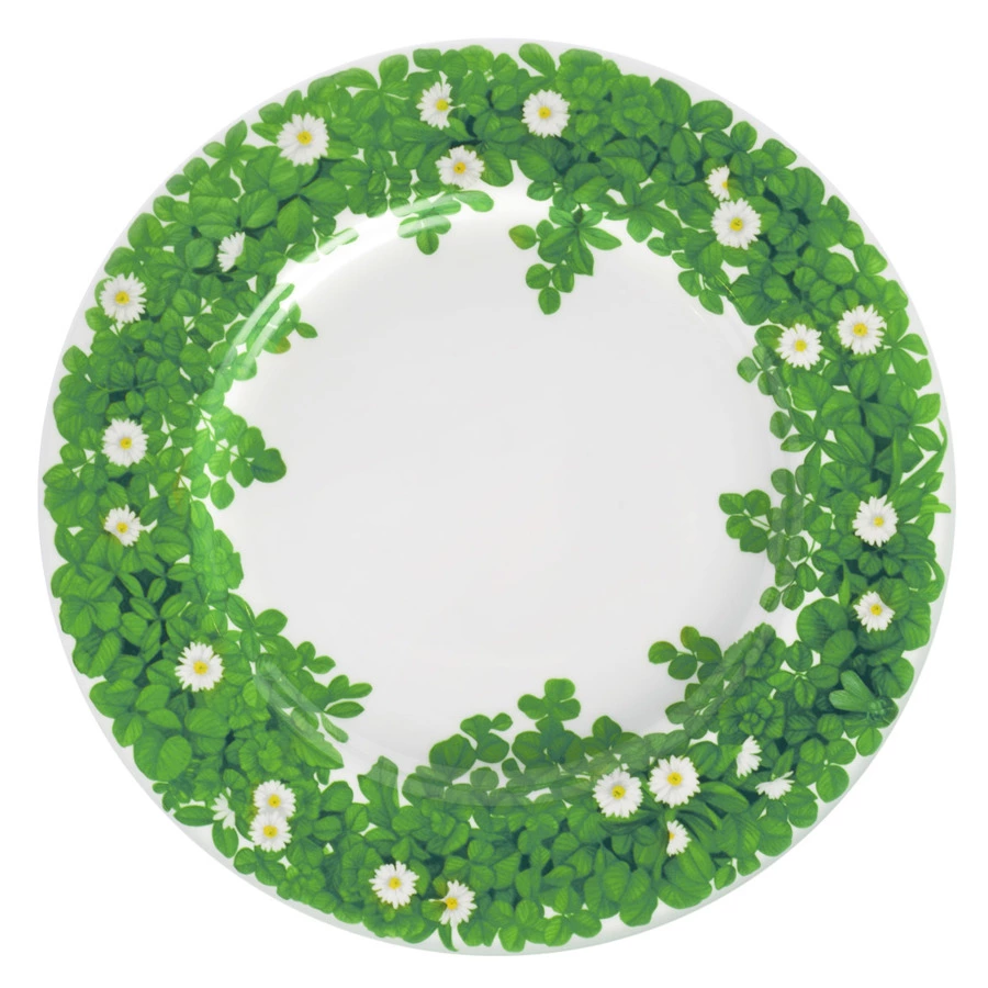 Тарелка обеденная Taitu Итальянские луга Вид 27 см, фарфор костяной, белый