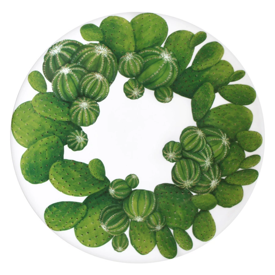 Тарелка обеденная Taitu Кактусы 27 см, фарфор костяной