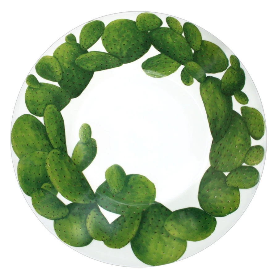 Тарелка суповая Taitu Кактусы 24 см, фарфор костяной