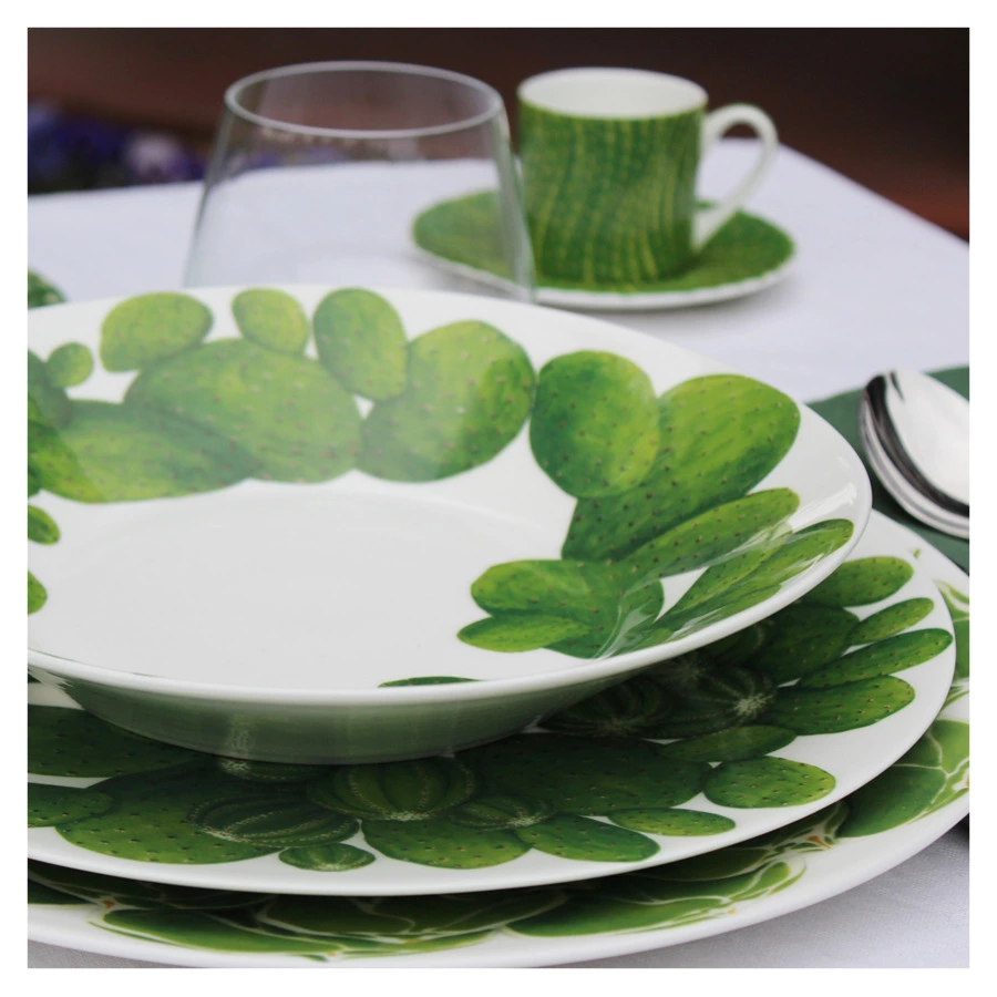 Тарелка суповая Taitu Кактусы 24 см, фарфор костяной