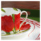Чашка чайная с блюдцем Taitu Свобода Цветок 230 мл, фарфор костяной, красный