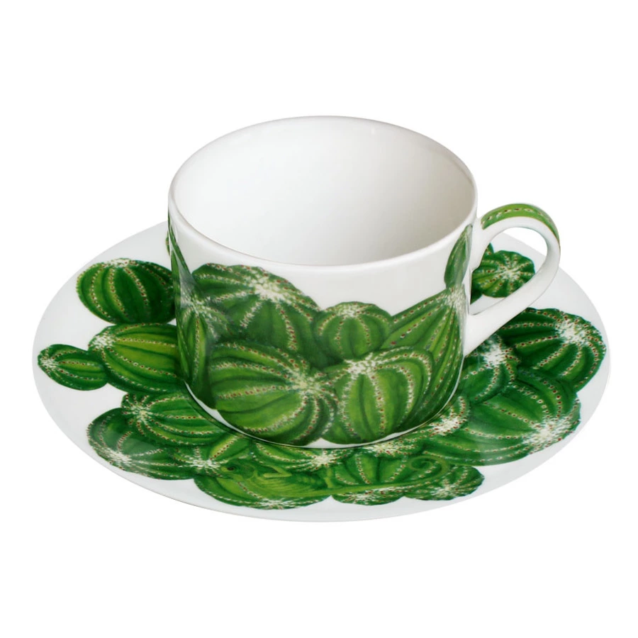 Чашка чайная с блюдцем Taitu Кактусы 230 мл, фарфор костяной