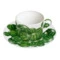 Чашка чайная с блюдцем Taitu Кактусы 230 мл, фарфор костяной