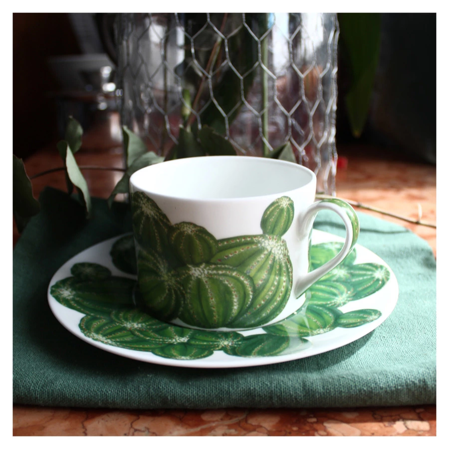 Чашка чайная с блюдцем Taitu Кактусы 230 мл, фарфор костяной