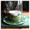 Чашка чайная с блюдцем Taitu Кактусы 230 мл, фарфор костяной
