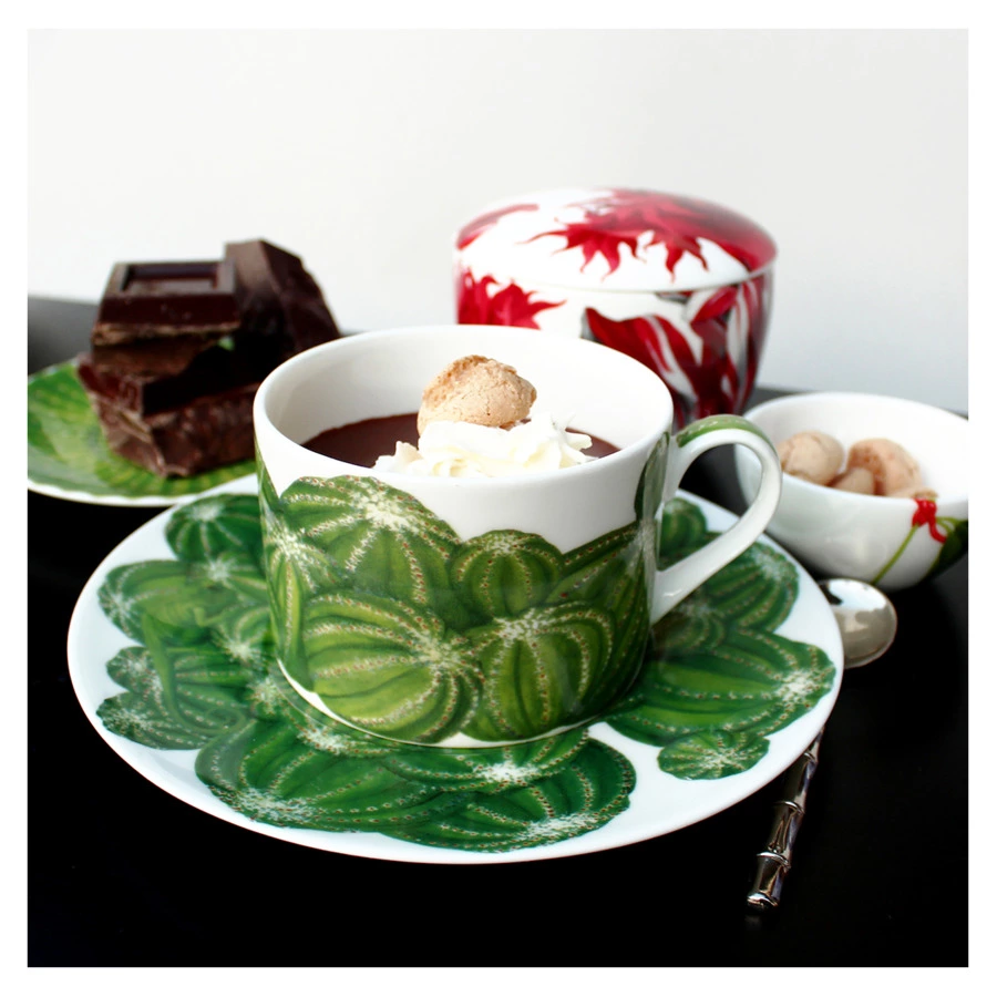 Чашка чайная с блюдцем Taitu Кактусы 230 мл, фарфор костяной