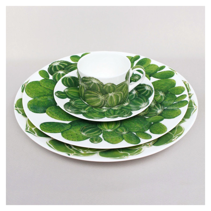 Чашка чайная с блюдцем Taitu Кактусы 230 мл, фарфор костяной