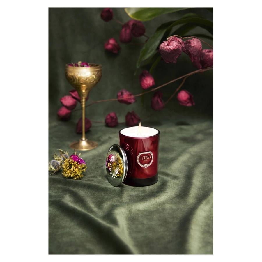 Свеча ароматическая Maison Berger Призма розовая с ароматом Дикие земли 240 г