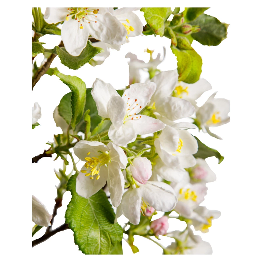 Яблоня из холодного фарфора