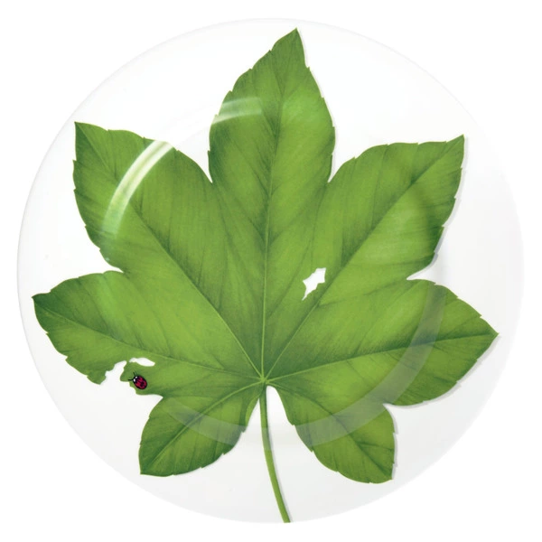 Блюдо сервировочное Taitu Свобода Лист, 31,5 см, фарфор костяной