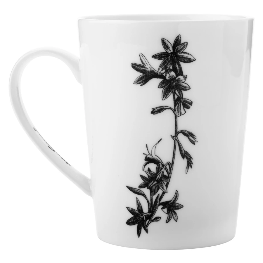 Кружка Maxwell & Williams Африканский лев 450 мл, фарфор твердый, п/к