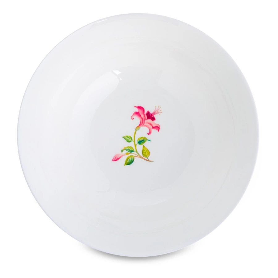 Сервиз столовый ИФЗ Премиум Сад мечты на 6 персон 24 предмета, фарфор костяной