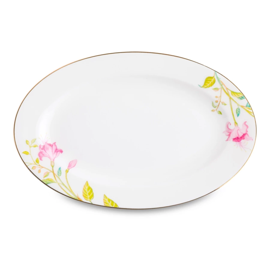 Сервиз столовый ИФЗ Премиум Сад мечты на 6 персон 24 предмета, фарфор костяной