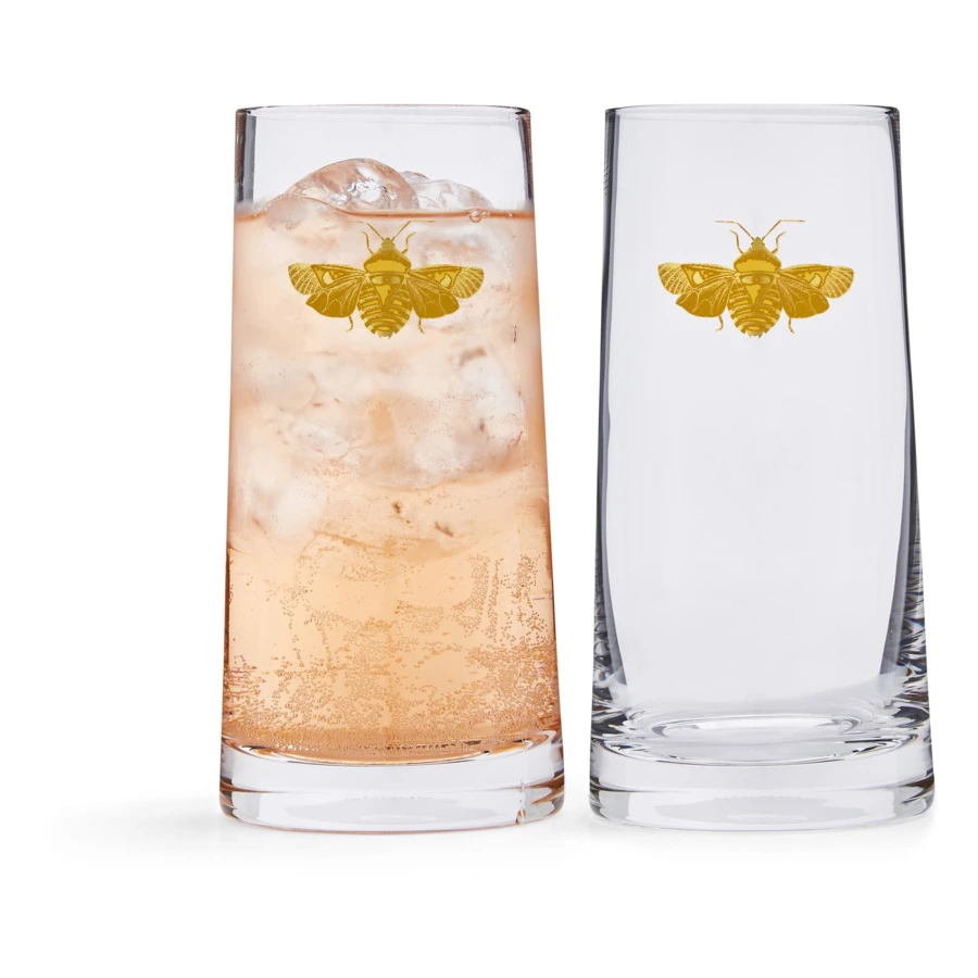 Набор стаканов для воды Spode Диковинные создания 426 мл, 2 шт, п/к