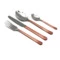 Набор столовых приборов Herdmar Straw Copper на 6 персон 24 предмета, п/к - Sale