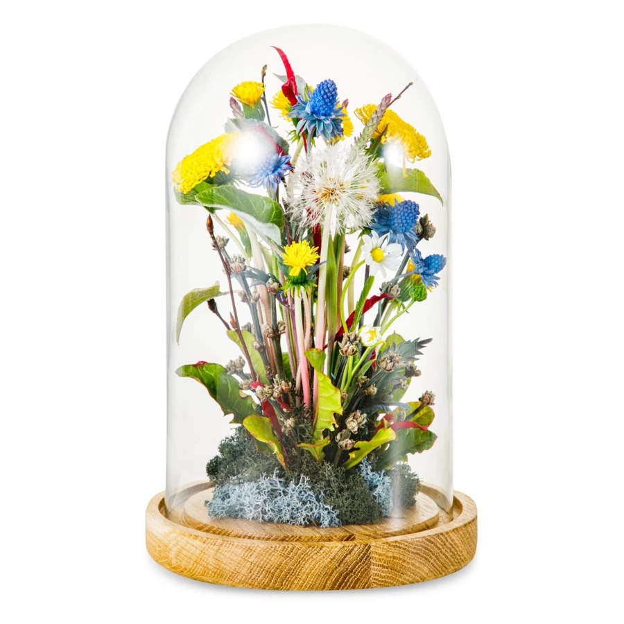 Одуванчики с синеголовником,тимофеевкой,ромашками,пушистиком из хол. фарф. в куполеН25,подст. масив