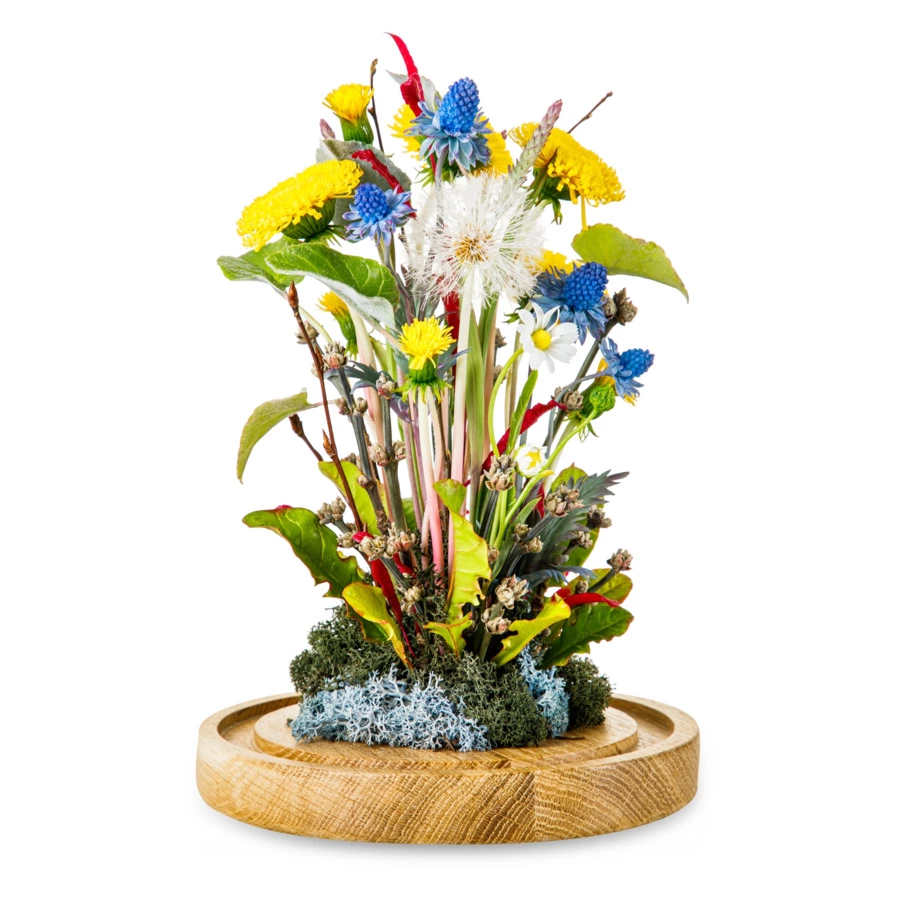 Одуванчики с синеголовником,тимофеевкой,ромашками,пушистиком из хол. фарф. в куполеН25,подст. масив