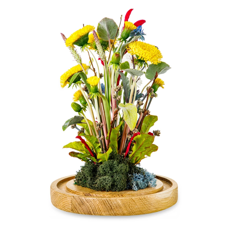 Одуванчики с синеголовником,тимофеевкой,ромашками,пушистиком из хол. фарф. в куполеН25,подст. масив