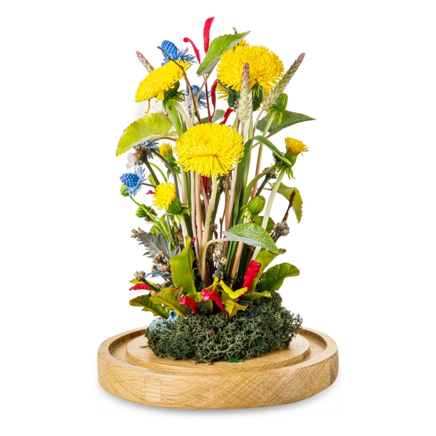 Одуванчики с синеголовником,тимофеевкой,ромашками,пушистиком из хол. фарф. в куполеН25,подст. масив