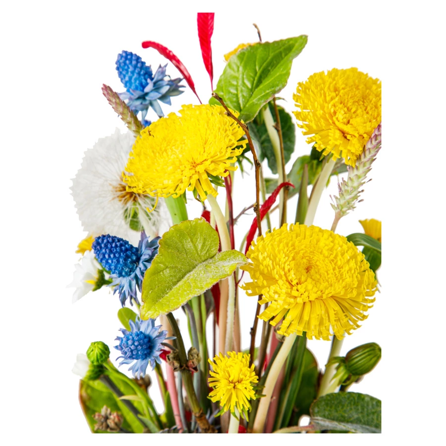 Одуванчики с синеголовником,тимофеевкой,ромашками,пушистиком из хол. фарф. в куполеН25,подст. масив