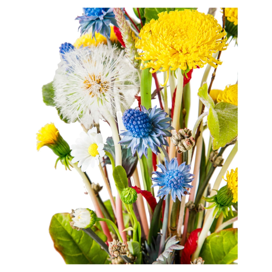 Одуванчики с синеголовником,тимофеевкой,ромашками,пушистиком из хол. фарф. в куполеН25,подст. масив